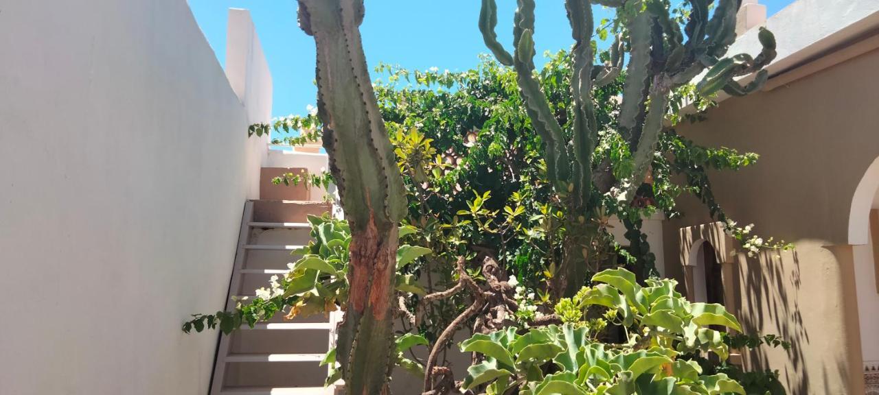 Hotel Les Etoiles Du Ksar Mirleft Exterior foto